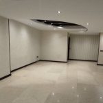 دیپلمات نشین خوش نقشه فول