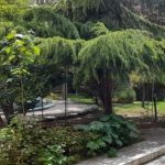 خرید آپارتمان در کرج با متراژ و سودآوری بالا