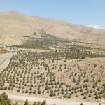 ۱۱۵ متر برفراز ابرها  ویو کوهستان