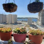 ۱۲۶ متر بدون پرتی با نورگیر مستقیم جنوبی در برج کادوس